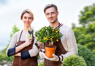 Проект «под ключ» где можно заказать по низкой цене  в Перми