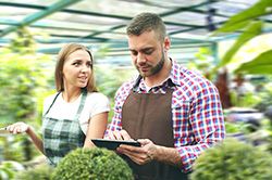 Дендроплан - верное планирование территории и решения этой задачи на уровне  в Перми