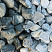 Kamenclub.ru: Щебень галтованный зеленый (змеевик) фр. 50-100 мм.  купить в Перми галтовка мраморная зеленый, салатовый мрамор 12 500 руб/т   фото КАМЕНЬ КЛУБ