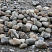 Kamenclub.ru: Речной валун (Ассорти) фр.100-300 мм.  купить в Перми галечник серый, темно-серый, светло-серый речная галька крупных размеров 4200 руб/т   фото КАМЕНЬ КЛУБ