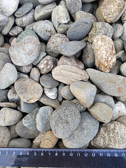 Kamenclub.ru: Галька речная окат (пестрая) фр. 20-40 мм. купить  в Перми галька речная пестрая, серая, серые оттенки галька речная окатанная округлая 5000 руб/т   фото КАМЕНЬ КЛУБ