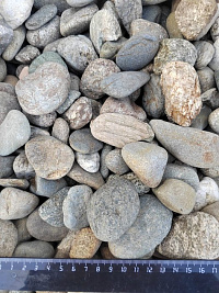 Kamenclub.ru: Галька речная окат (пестрая) фр. 20-40 мм. купить  в Перми галька речная пестрая, серая, серые оттенки галька речная окатанная округлая 5000 руб/т   фото КАМЕНЬ КЛУБ