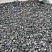 Kamenclub.ru: Щебень крошка черный (мрамор) фр. 10-20 мм.  купить в Перми мрамор черный с белыми прожилками, черный, белый каменная ландшафтная декоративная крошка щебня 11000 руб/т   фото КАМЕНЬ КЛУБ