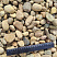Kamenclub.ru: Галька речная окат рыжая фр. 20-40 мм. купить  в Перми галька речная окатанная рыжая желтая серая округлая речная галька 5000 руб/т   фото КАМЕНЬ КЛУБ