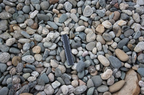 Kamenclub.ru: Галька речная окат (пестрая) фр. 20-40 мм. купить  в Перми галька речная пестрая, серая, серые оттенки галька речная окатанная округлая 5000 руб/т   фото КАМЕНЬ КЛУБ