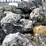 Kamenclub.ru: Черный гранит - кварцит фр. 100-500 мм.  купить в Перми мрамор гранит черный с белыми прожилками, серый, белый валун скальный колотый 7000 руб/т   фото КАМЕНЬ КЛУБ