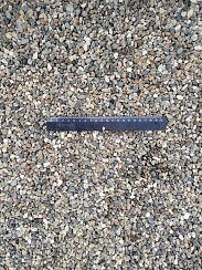 Kamenclub.ru: Галька речная окат (серая) фр.5-10 мм купить  в Перми галька речная серая, серый, темно-серый, светло-серый, коричневый речная окатанная галька декоративная ландшатфная 5000 руб/т   фото КАМЕНЬ КЛУБ