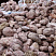 Kamenclub.ru: Розовый валунчик фр.100-300 мм.  купить в Перми крупный природный камень розовый, серый молочный красный речной галечник природный 7850 руб/т   фото КАМЕНЬ КЛУБ