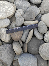 Kamenclub.ru: Галька речная плоская (серо-белая) фр. 70-120 мм. купить в Перми галька галечник речной серый, белый окатанная плоская  природная галька 9000 руб/т   фото КАМЕНЬ КЛУБ