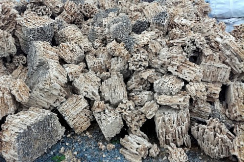 Kamenclub.ru: Крымский природный меотис фр. 100-500 мм.  купить в Перми меотис бежевый рыжий молочный желтый ракушечник 4 500 руб/т   фото КАМЕНЬ КЛУБ