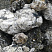 Kamenclub.ru: Черный гранит - кварцит фр. 100-500 мм.  купить в Перми мрамор гранит черный с белыми прожилками, серый, белый валун скальный колотый 7000 руб/т   фото КАМЕНЬ КЛУБ