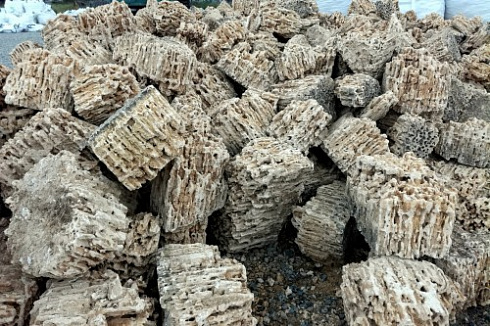 Kamenclub.ru: Крымский природный меотис фр. 100-500 мм.  купить в Перми меотис бежевый рыжий молочный желтый ракушечник 4 500 руб/т   фото КАМЕНЬ КЛУБ