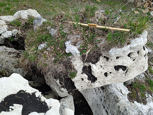 Kamenclub.ru: Выветренный известняк со мхом фр. 100-500 мм.  купить в Перми известняк серый белый зеленый валун известняковый крупный 10000 руб/т   фото КАМЕНЬ КЛУБ