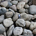 Kamenclub.ru: Темно-серый валунчик фр.100-300 мм.  купить в Перми крупный природный камень серый, темно-серый, светло-серый речная галька большого размера окатанная 4500 руб/т   фото КАМЕНЬ КЛУБ