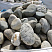 Kamenclub.ru: Речной валун (Ассорти) фр.100-300 мм.  купить в Перми галечник серый, темно-серый, светло-серый речная галька крупных размеров 4200 руб/т   фото КАМЕНЬ КЛУБ