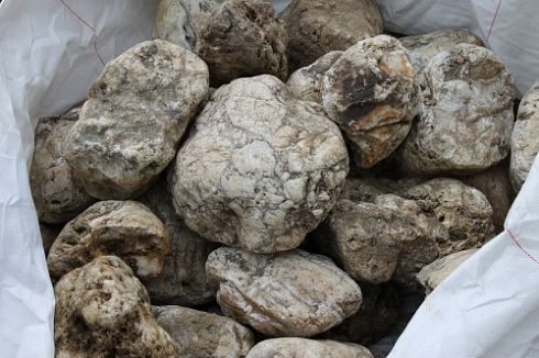 Kamenclub.ru: Кварцевый валунчик фр.100-300 мм.  купить в Перми кварц белый, бежевый молочный рыжий крупный природный камень галечник 7850 руб/т   фото КАМЕНЬ КЛУБ