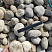 Kamenclub.ru: Галька речная окат (серо-белая) фр. 70-120 мм купить  в Перми галька галечник бело-серая, серо-белая, серая, белая речная природная галька  8000 руб/т   фото КАМЕНЬ КЛУБ