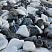 Kamenclub.ru: Мраморная крошка (щебень галтованный микс:: белый-черный) фр.20-40 мм  купить в Перми мрамор белый, черный мраморный галтованный щебень 15500 руб/т   фото КАМЕНЬ КЛУБ