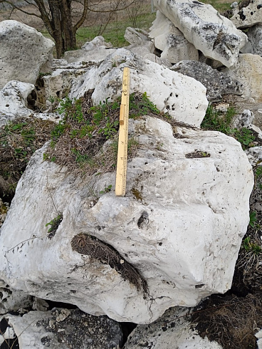 Kamenclub.ru: Выветренный известняк со мхом фр. 100-500 мм.  купить в Перми известняк серый белый зеленый валун известняковый крупный 10000 руб/т   фото КАМЕНЬ КЛУБ