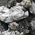 Kamenclub.ru: Черный гранит - кварцит фр. 100-500 мм.  купить в Перми мрамор гранит черный с белыми прожилками, серый, белый валун скальный колотый 7000 руб/т   фото КАМЕНЬ КЛУБ