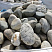 Kamenclub.ru: Речной валун (Ассорти) фр.100-300 мм.  купить в Перми галечник серый, темно-серый, светло-серый речная галька крупных размеров 4200 руб/т   фото КАМЕНЬ КЛУБ
