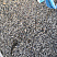 Kamenclub.ru: Галька речная окат (серая) фр.3-5 мм купить  в Перми галька речная серая бежевый темно-серый окатанный речной камень округлый 9500 руб/т   фото КАМЕНЬ КЛУБ