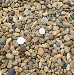 Kamenclub.ru: Галька окат (серо-желтая) фр.10-20 мм. купить  в Перми галька серо-желтая, рыжая, серый речная окатанная округлая галька 5000 руб/т   фото КАМЕНЬ КЛУБ