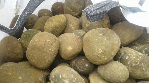 Kamenclub.ru: Песчаник ядра, фр. 100-300 мм  купить в Перми песчаник бежевый серый рыжий речная галька 5 000 руб/т   фото КАМЕНЬ КЛУБ