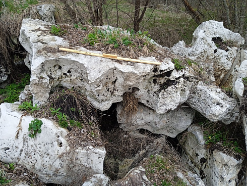 Kamenclub.ru: Выветренный известняк со мхом фр. 100-500 мм.  купить в Перми известняк серый белый зеленый валун известняковый крупный 10000 руб/т   фото КАМЕНЬ КЛУБ