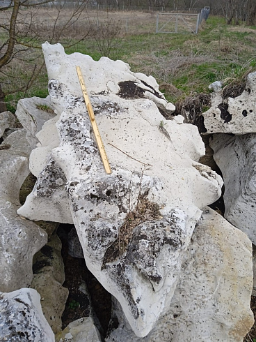 Kamenclub.ru: Выветренный известняк со мхом фр. 100-500 мм.  купить в Перми известняк серый белый зеленый валун известняковый крупный 10000 руб/т   фото КАМЕНЬ КЛУБ