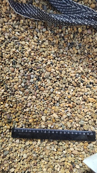 Kamenclub.ru: Галька окат (серо-желтая) фр.5-10 мм. купить  в Перми галька речная рыжий, желтый, рыжий, серо-желтый речная окатанная галька декоративная 5000 руб/т   фото КАМЕНЬ КЛУБ