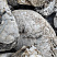 Kamenclub.ru: Кварцевый валунчик фр.100-300 мм.  купить в Перми кварц белый, бежевый молочный рыжий крупный природный камень галечник 7850 руб/т   фото КАМЕНЬ КЛУБ