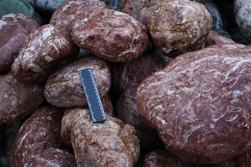 Kamenclub.ru: Розовый валунчик фр.100-300 мм.  купить в Перми крупный природный камень розовый, серый молочный красный речной галечник природный 7850 руб/т   фото КАМЕНЬ КЛУБ