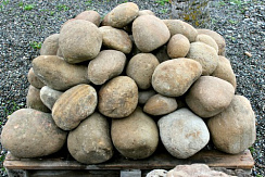 Kamenclub.ru: Песчаник ядра, фр. 100-300 мм  купить в Перми песчаник бежевый серый рыжий речная галька 5 000 руб/т   фото КАМЕНЬ КЛУБ