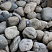 Kamenclub.ru: Речной валун (Ассорти) фр.100-300 мм.  купить в Перми галечник серый, темно-серый, светло-серый речная галька крупных размеров 4200 руб/т   фото КАМЕНЬ КЛУБ