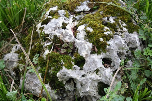 Kamenclub.ru: Выветренный известняк со мхом фр. 100-500 мм.  купить в Перми известняк серый белый зеленый валун известняковый крупный 10000 руб/т   фото КАМЕНЬ КЛУБ