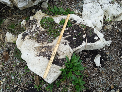 Kamenclub.ru: Выветренный известняк (степной) фр. 500-1500 мм.  купить в Перми    10000 руб/т   фото КАМЕНЬ КЛУБ