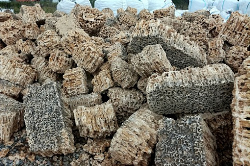 Kamenclub.ru: Крымский природный меотис фр. 100-500 мм.  купить в Перми меотис бежевый рыжий молочный желтый ракушечник 4 500 руб/т   фото КАМЕНЬ КЛУБ