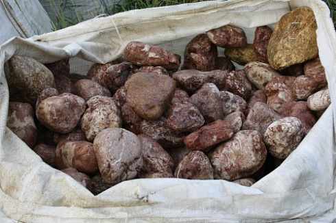 Kamenclub.ru: Розовый валунчик фр.100-300 мм.  купить в Перми крупный природный камень розовый, серый молочный красный речной галечник природный 7850 руб/т   фото КАМЕНЬ КЛУБ