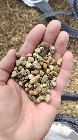 Kamenclub.ru: Галька окат (серо-желтая) фр.5-10 мм. купить  в Перми галька речная рыжий, желтый, рыжий, серо-желтый речная окатанная галька декоративная 5000 руб/т   фото КАМЕНЬ КЛУБ